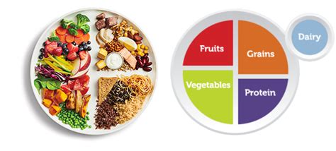 We did not find results for: New food pyramid 2020 | Back to Basics: All About MyPlate ...