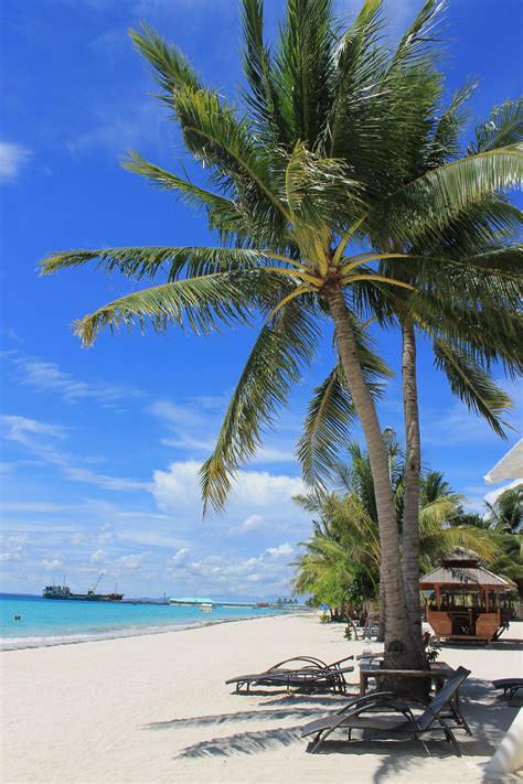 Anika Island Resort, Bantayan Island, Cebu | Bantayan island, Island resort, Philippine island
