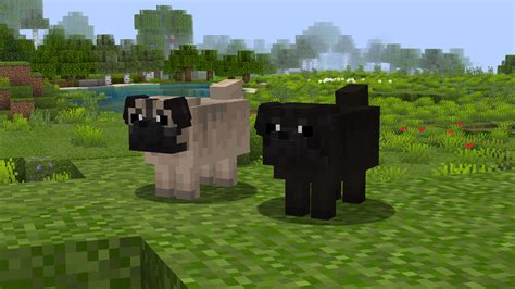 Pugs Better Dogs Minecraft Texture Pack