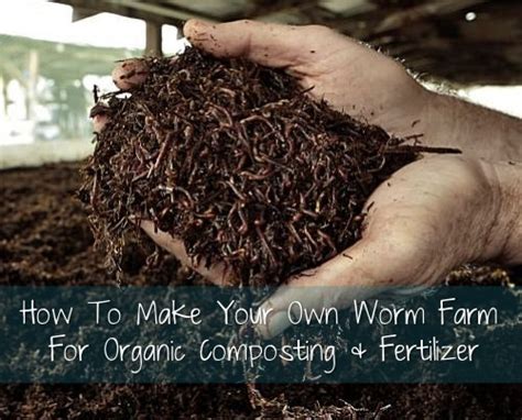 See full list on wikihow.com How To Make Your Own Worm Farm For Organic Composting ...