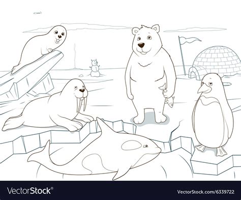 Arctic Animals Coloring Book Educational Game Vector Image