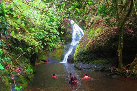 Top Things To Do In Rarotonga Cook Islands X Days In Y