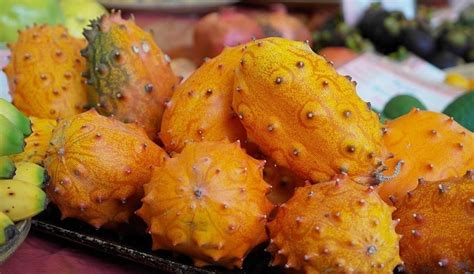 Exotic fruits around the world. Unusual Fruit / Unusual Fruit Bushes From Beardsworths ...