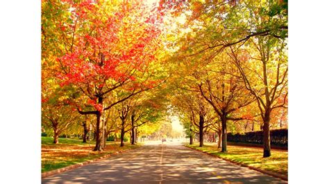 New England Fall Wallpapers 46 Background Pictures
