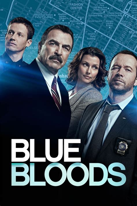 Blue Bloods Series Myseries