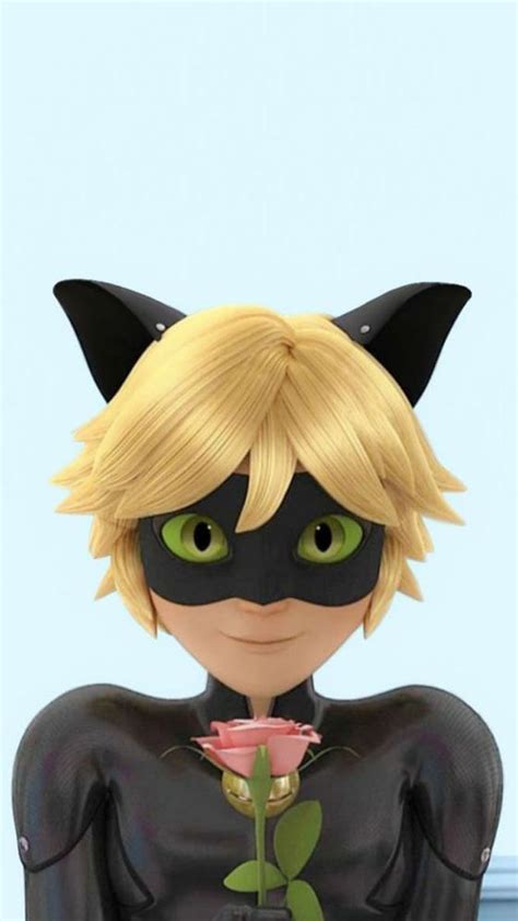 Discover more android, anime, background, cute wallpapers. Anime Ladybug And Cat Noir Wallpapers - Wallpaper Cave