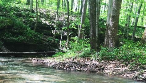 There are a few shallow creek crossings that might get your feet wet in spring or. McCormick's Creek State Park