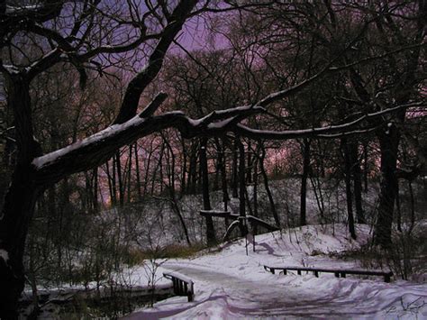 Quiet Winter Night High Park Toronto Canon Powershot S1 … Paul Bica Flickr