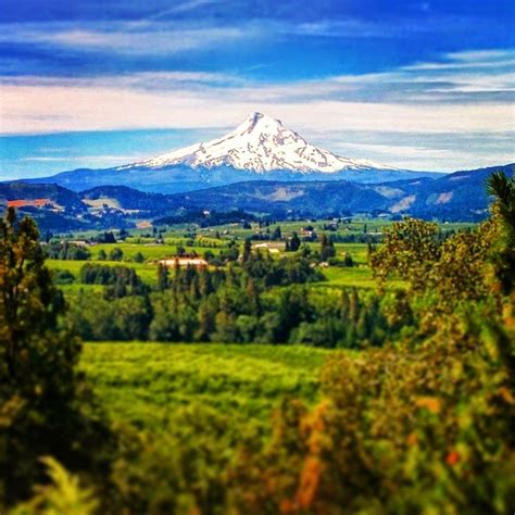 Beautiful Mt Hood Oregon Photorator