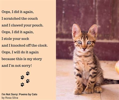 Collection by cherie morrison • last updated 2 weeks ago. I'm Not Sorry: Poems by Cats Book Launch!