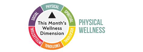 Example Of Physical Health Dimension