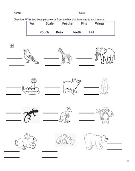 Parts Of Animals Worksheet