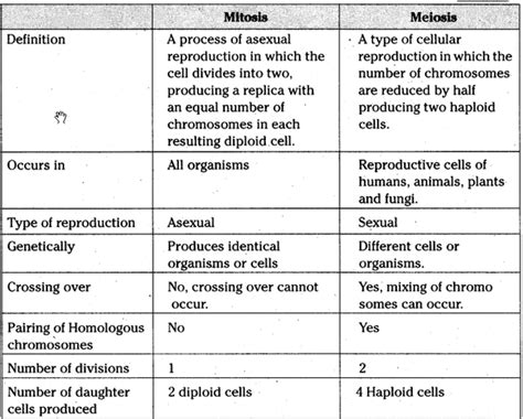 What is the difference between mitosis and meiosis? What is the difference between mitosis and meiosis in cell ...
