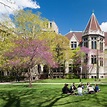University of Chicago - All You Need to Know BEFORE You Go