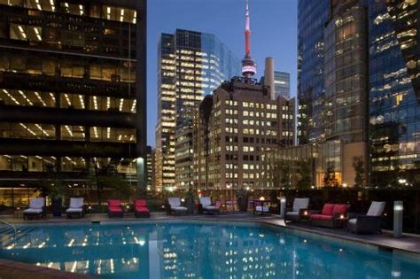 Hilton Toronto Toronto Updated 2024 Prices