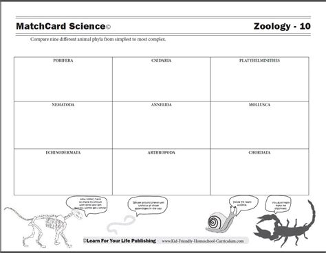 Animal Classification Worksheet Pdf