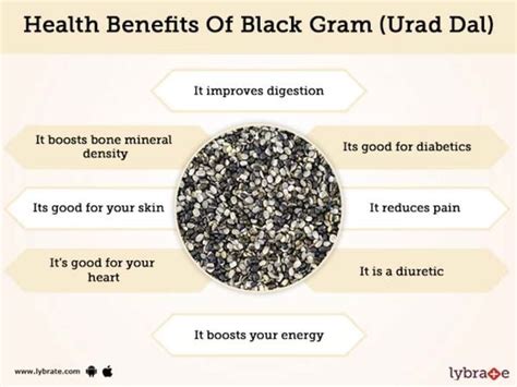 black gram urad dal benefits and its side effects lybrate black gram health benefits benefit