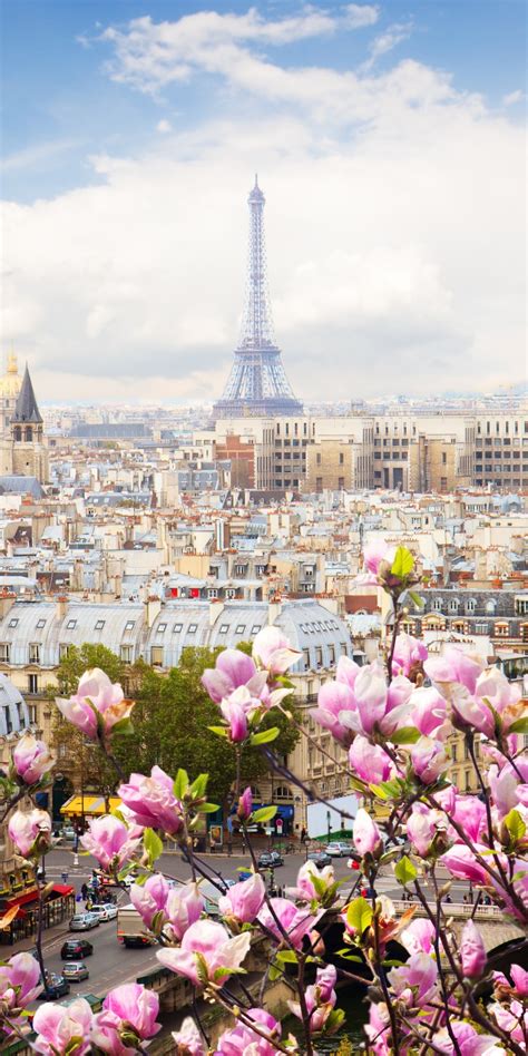 1080x2160 Eiffel Tower France Flowers Beautiful 4k One Plus 5thonor 7x
