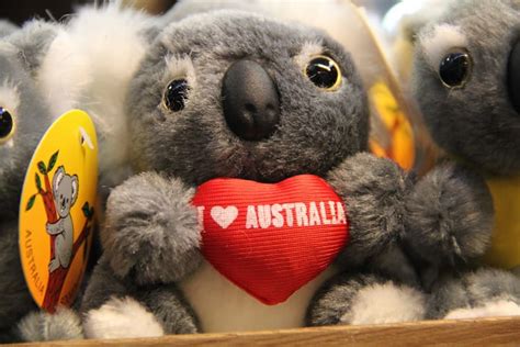 We did not find results for: Australia Souvenirs - 10 Australian Gifts to Buy ...