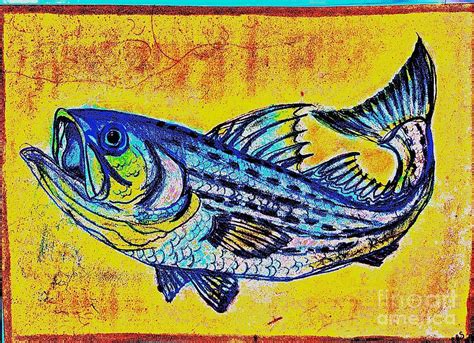 Striped Bass Drawing By Christopher Swass Fine Art America