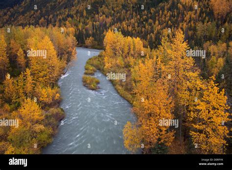Autumn Colors At Canyon Creek Chugach National Forest Alaska Stock