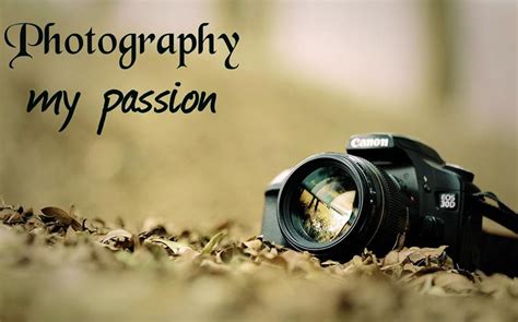 My Photography My Passion