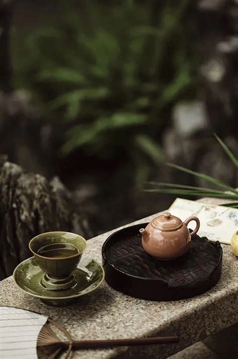 Zen Tea Tea Decor Asian Tea Japandi Interior Tea And Books