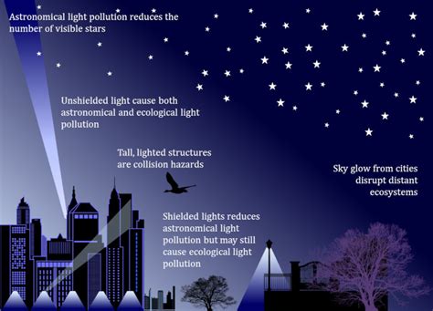what is the ecological impact of light pollution encyclopedia of the environment