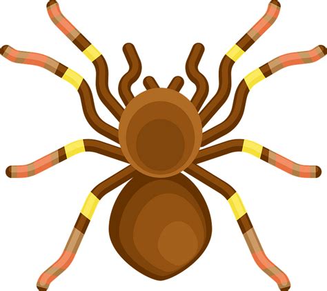 Dangerous Spider Clipart Free Download Transparent Png Creazilla
