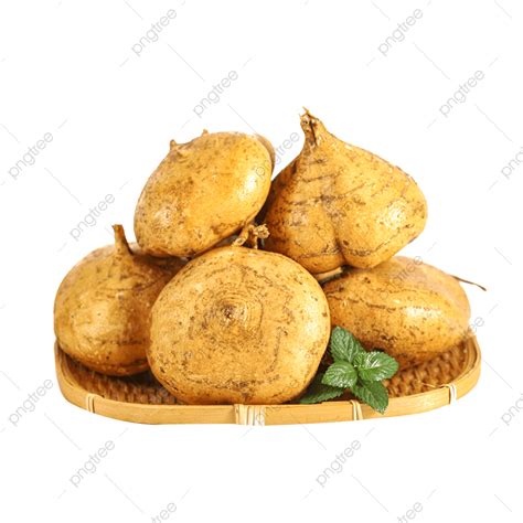 Gambar Ubi Jalar Sweet Potato Guangxi Liangshu Segar Png Transparan