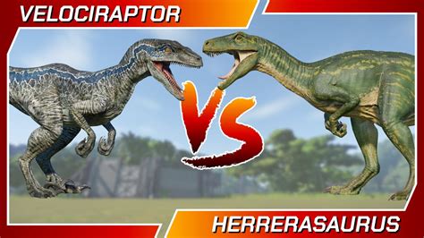 Dinosaurs Battle Velociraptor Vs Herrerasaurus Jurassic World Evolution Youtube