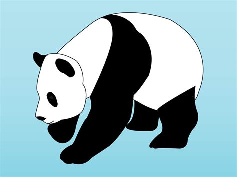 Panda Bear Cartoon Images