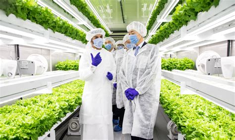 Smart Acres Vertical Farm Officially Launches In The Uae Suppliers