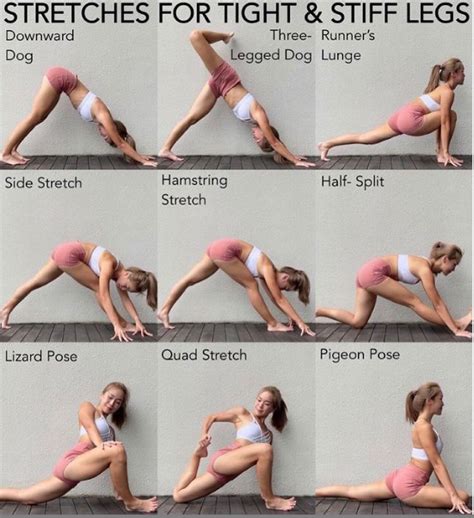 Best Leg Stretches To Do Post Workout And After Leg Day Artofit