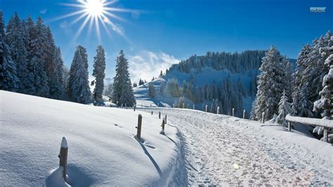 Morning Winter Wallpapers Wallpaper Cave