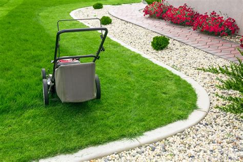 Lawn Care Trends For 2019 Stafford Best Lawn Care Services
