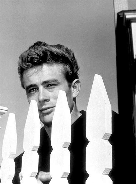 James Dean Love Фото Hooray For Hollywood Golden Age Of Hollywood