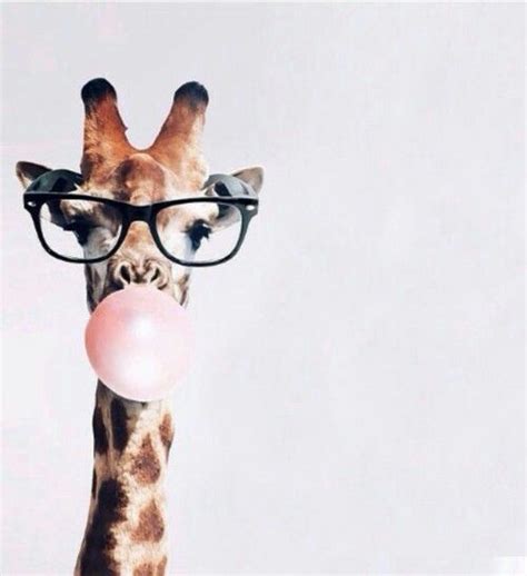 Giraffe Wearing Glasses Blowing A Bubblegum Bubble Jirafa De Peluche