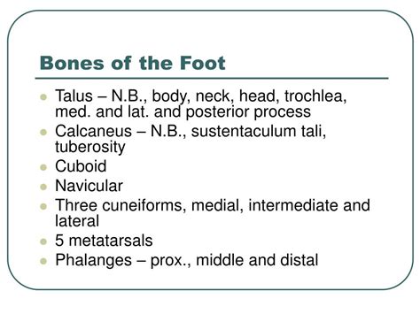 Ppt Ankle And Foot Joint Powerpoint Presentation Id