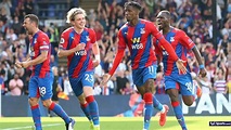 Crystal Palace se quedó con el invicto de Tottenham - TyC Sports