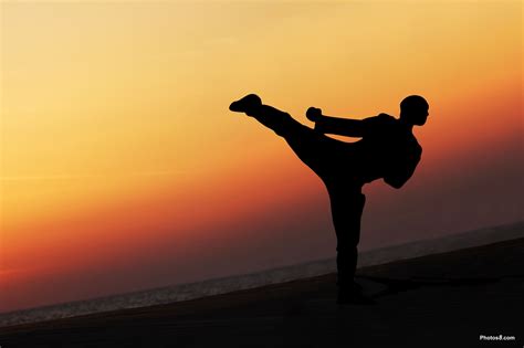 Hitotsu Japanese In Karate Together With Japan