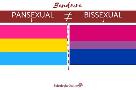 O Que é A Pansexualidade Definição E Características