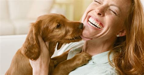 Letting Your Dog Lick Your Face Could Harm Your Health Experts Warn