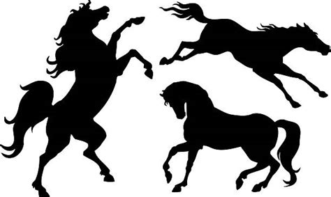 50 Wild Horse Kicking Stock Illustrations Royalty Free Vector