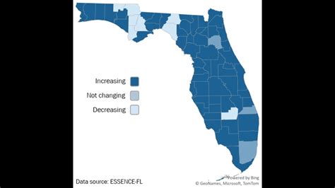 flu virus cases rise in tampa bay area data shows