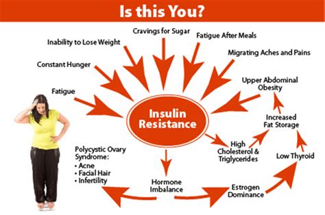 Reverse Diabetes Insulin Resistance