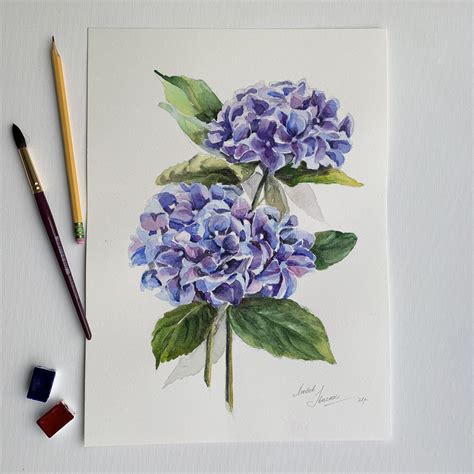 Hydrangea Watercolor Painting Blue Hydrangeas Art Floral Etsy