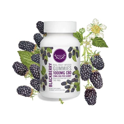 Wyld Cbd Blackberry Gummies Broad Spectrum Thc Free 40ct 1000mg Cbd