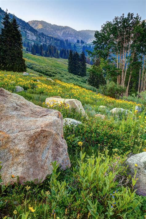 Wasatch Mountains Of Utah Photograph By Douglas Pulsipher Fine Art