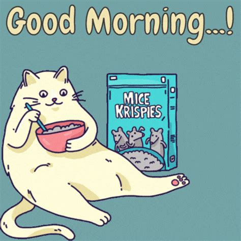 Best Good Morning Cat  Images Mk